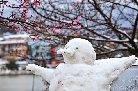 Người dân còn hào hứng đắp những người tuyết dễ thương dưới gốc cây.